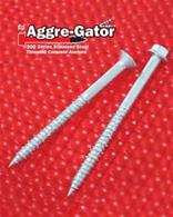 Aggre-gator 300 Series SS Concrete Anchors